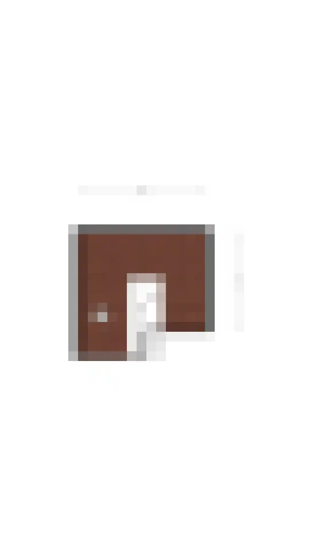 van Oosterhoutstraat 1 Rijsbergen thumbnail 30
