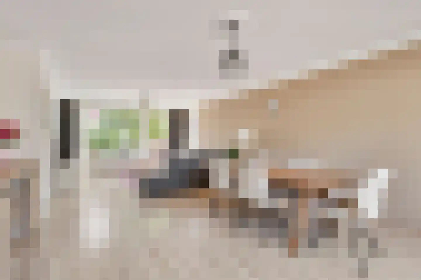 van Oosterhoutstraat 1 Rijsbergen thumbnail 6