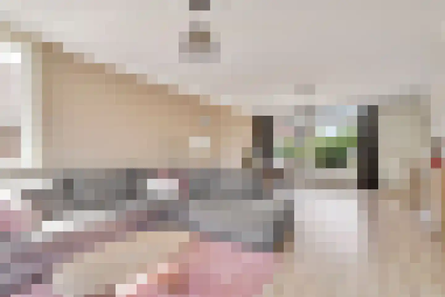 van Oosterhoutstraat 1 Rijsbergen thumbnail 7