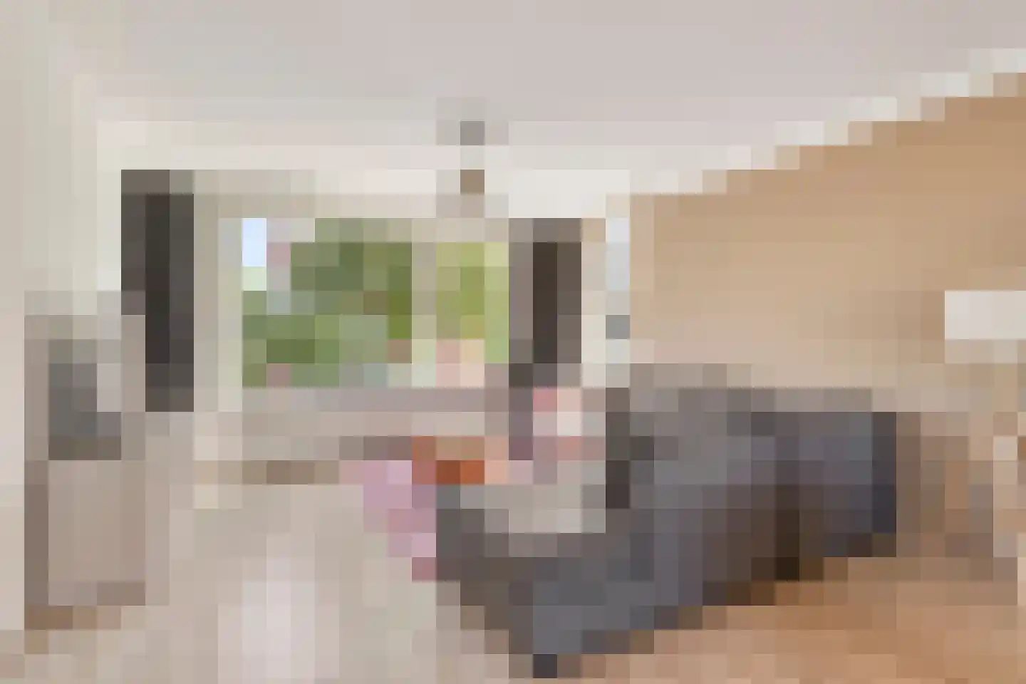 van Oosterhoutstraat 1 Rijsbergen thumbnail 8