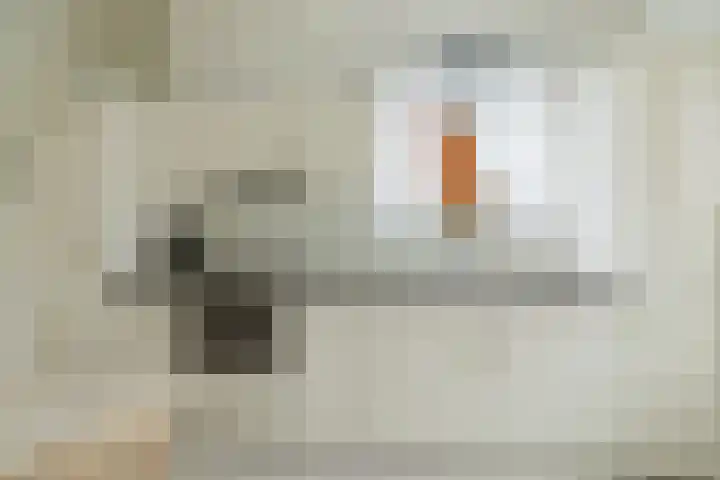 van Oosterhoutstraat 27 Rijsbergen thumbnail 13