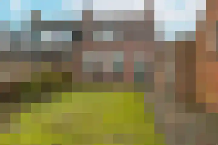 van Oosterhoutstraat 27 Rijsbergen thumbnail 28