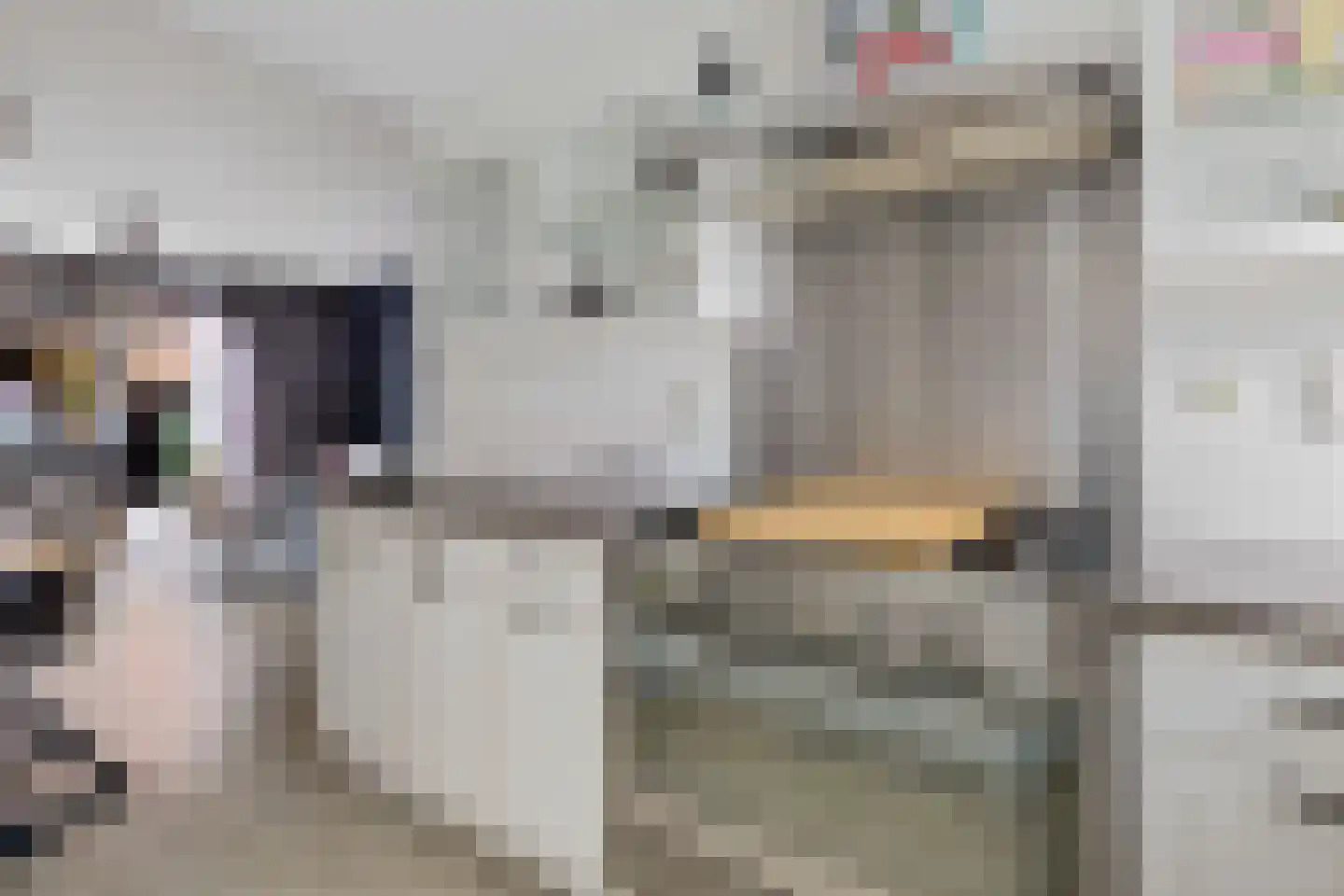 Van Oosterwijk Bruynstraat 1 L Den Haag thumbnail 10