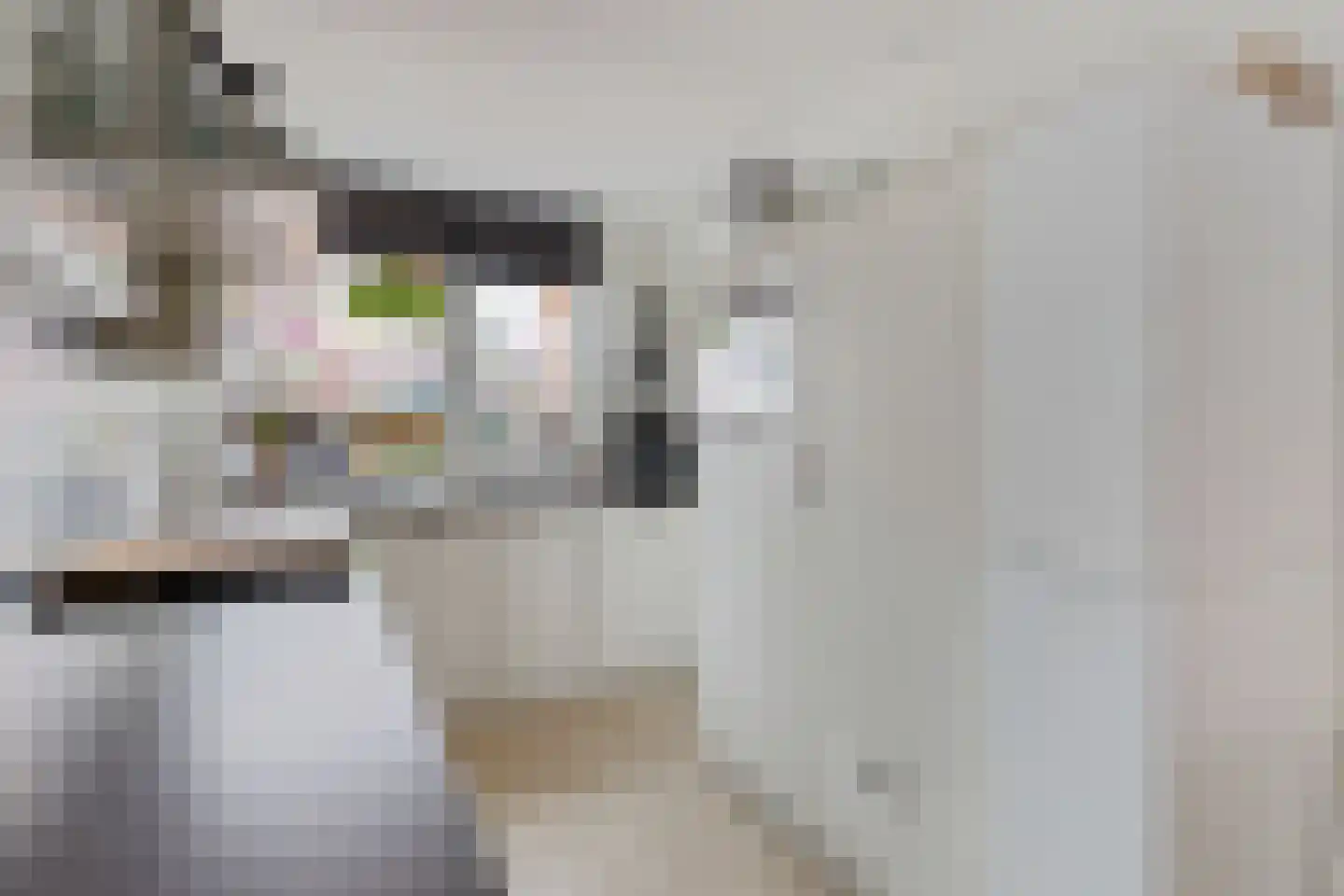 Van Oosterwijk Bruynstraat 1 L Den Haag thumbnail 11