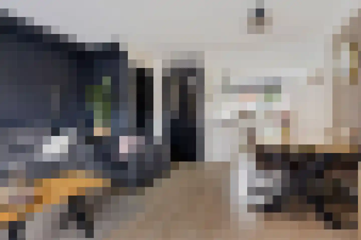 Van Oosterwijk Bruynstraat 1 L Den Haag thumbnail 4
