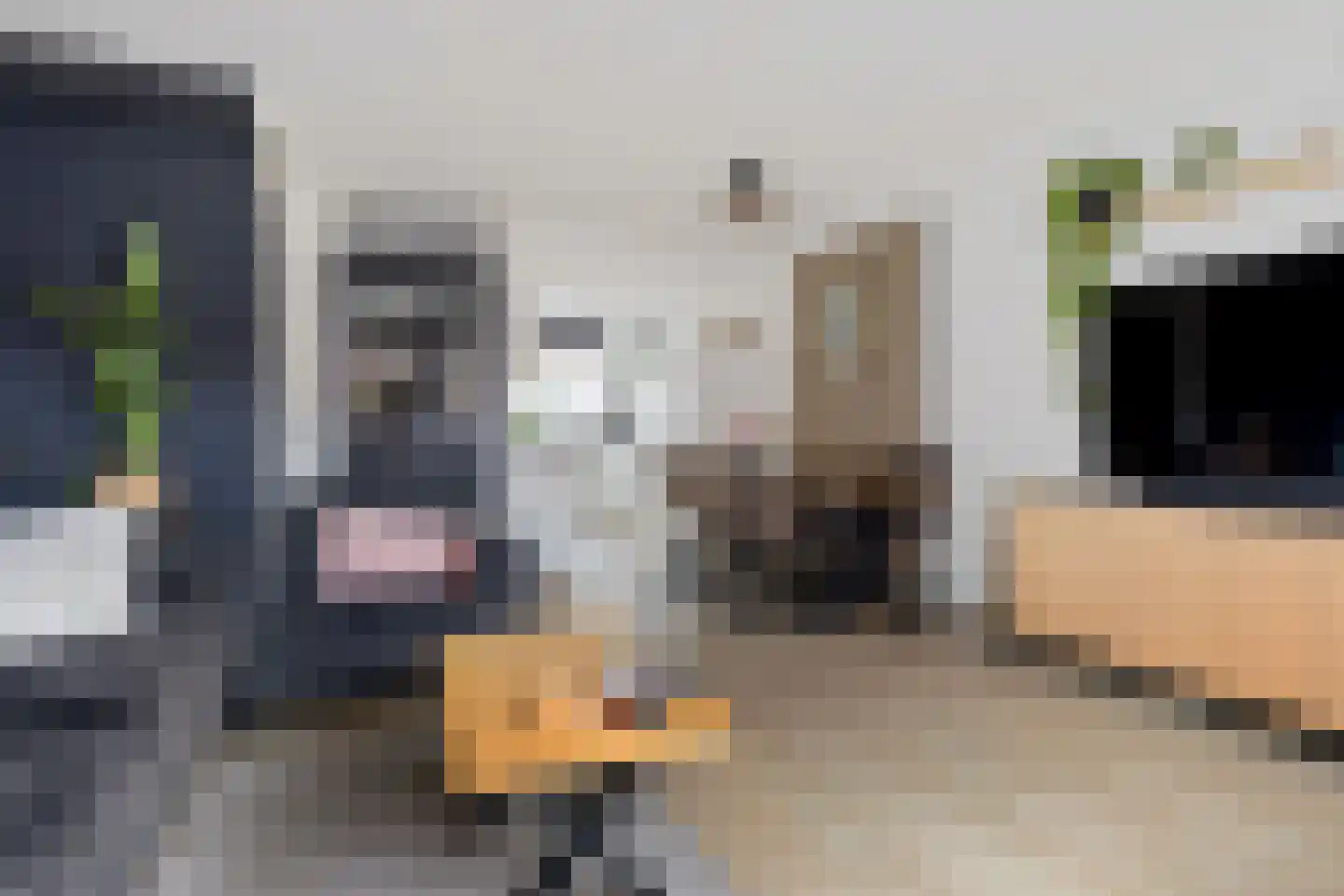 Van Oosterwijk Bruynstraat 1 L Den Haag thumbnail 5