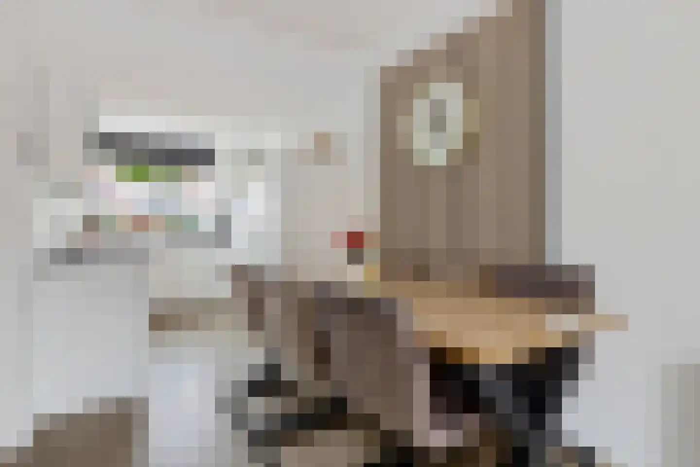 Van Oosterwijk Bruynstraat 1 L Den Haag thumbnail 7