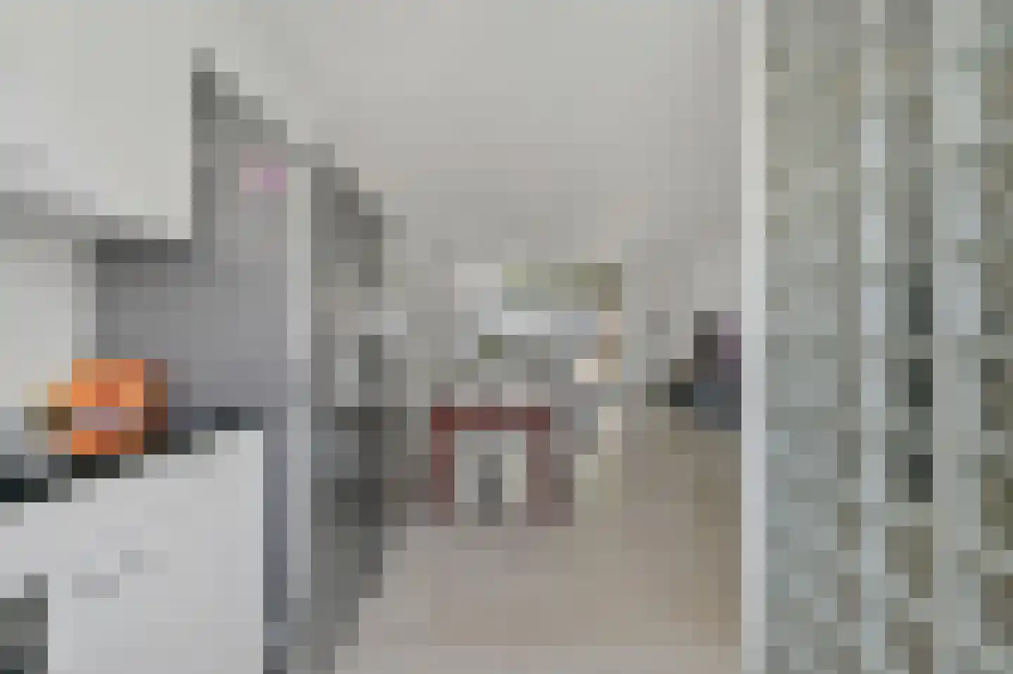 Van Oosterwijk Bruynstraat 1 R Den Haag thumbnail 13