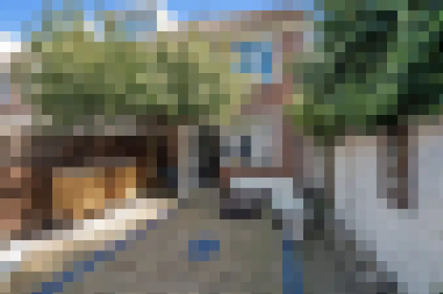 Van Oosterwijk Bruynstraat 1 R Den Haag thumbnail 15