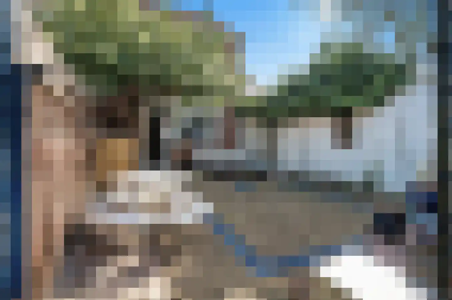 Van Oosterwijk Bruynstraat 1 R Den Haag thumbnail 18