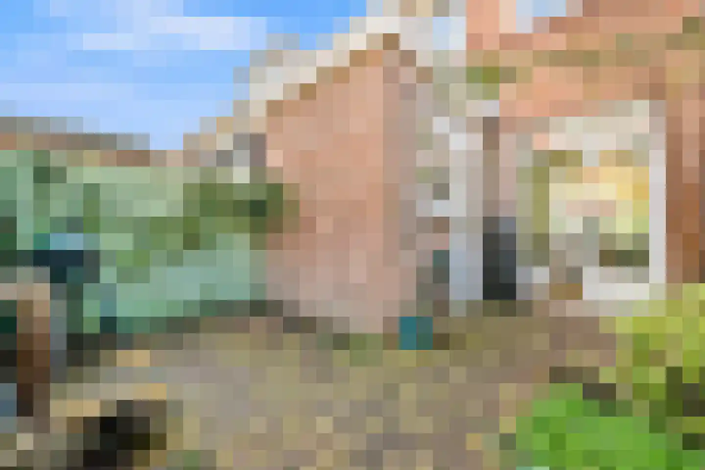 Van Oosterwijk Bruynstraat 14 Den Haag thumbnail 14