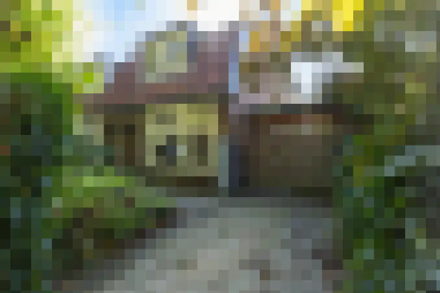 van Oosthuyselaan 51 in Driebergen-Rijsenburg