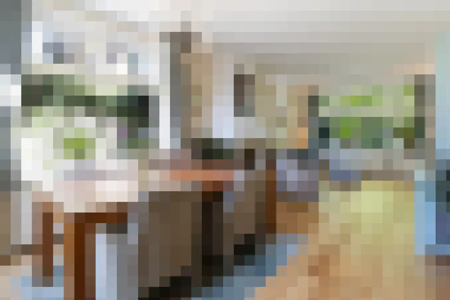van Oosthuyselaan 51 Driebergen-Rijsenburg thumbnail 13