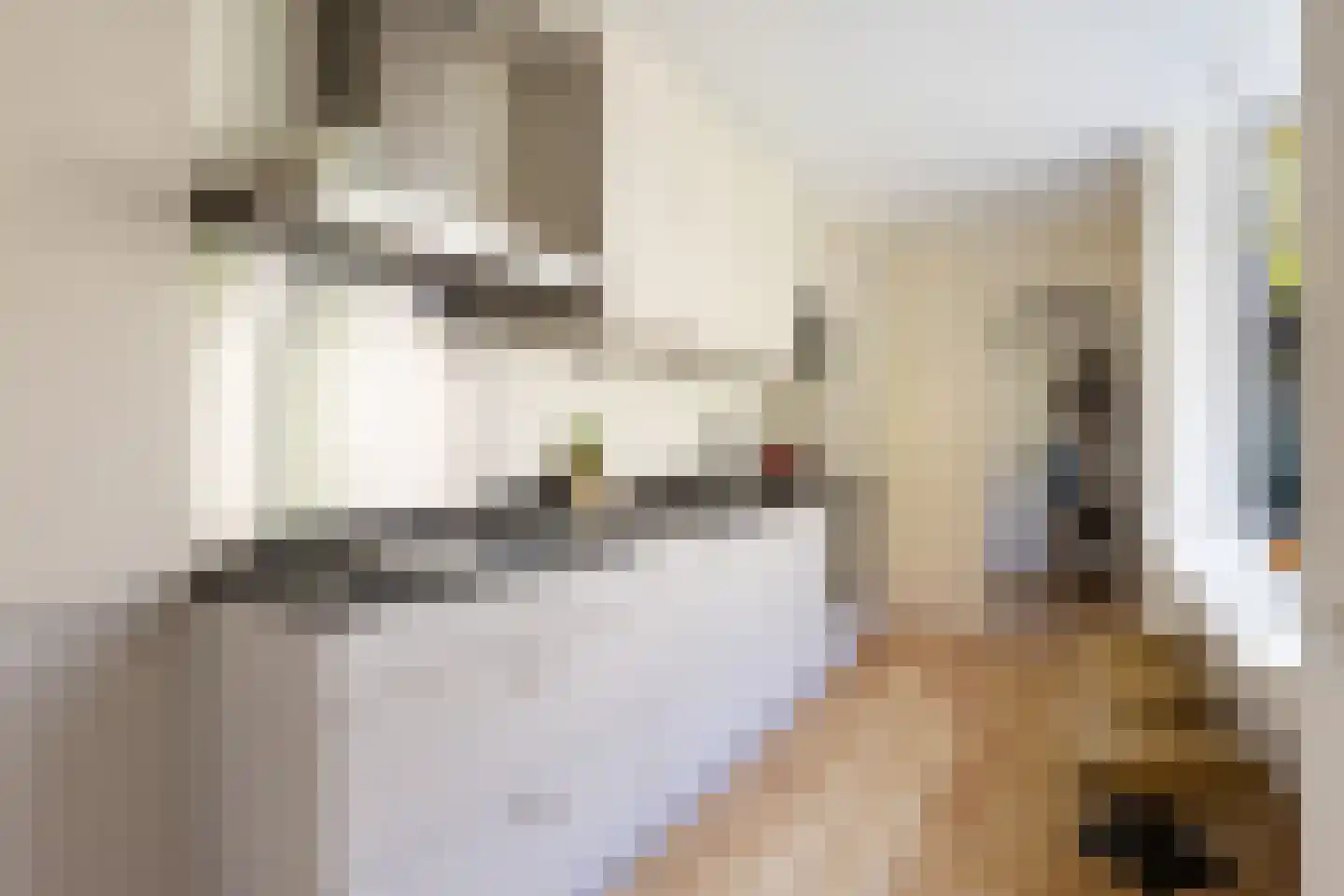 van Oosthuyselaan 51 Driebergen-Rijsenburg thumbnail 17