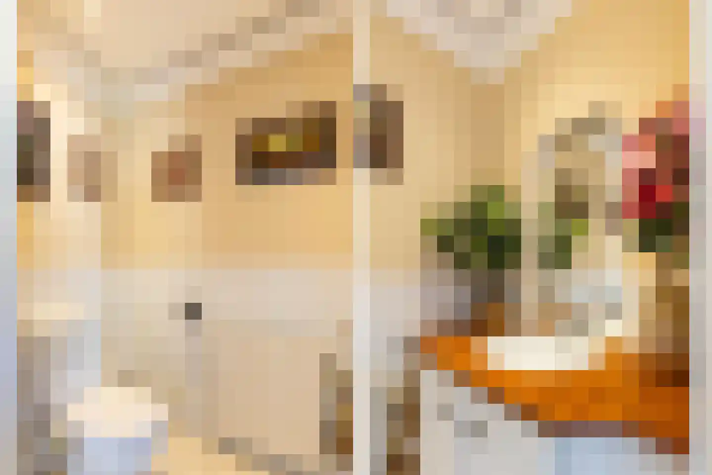 van Oosthuyselaan 51 Driebergen-Rijsenburg thumbnail 20