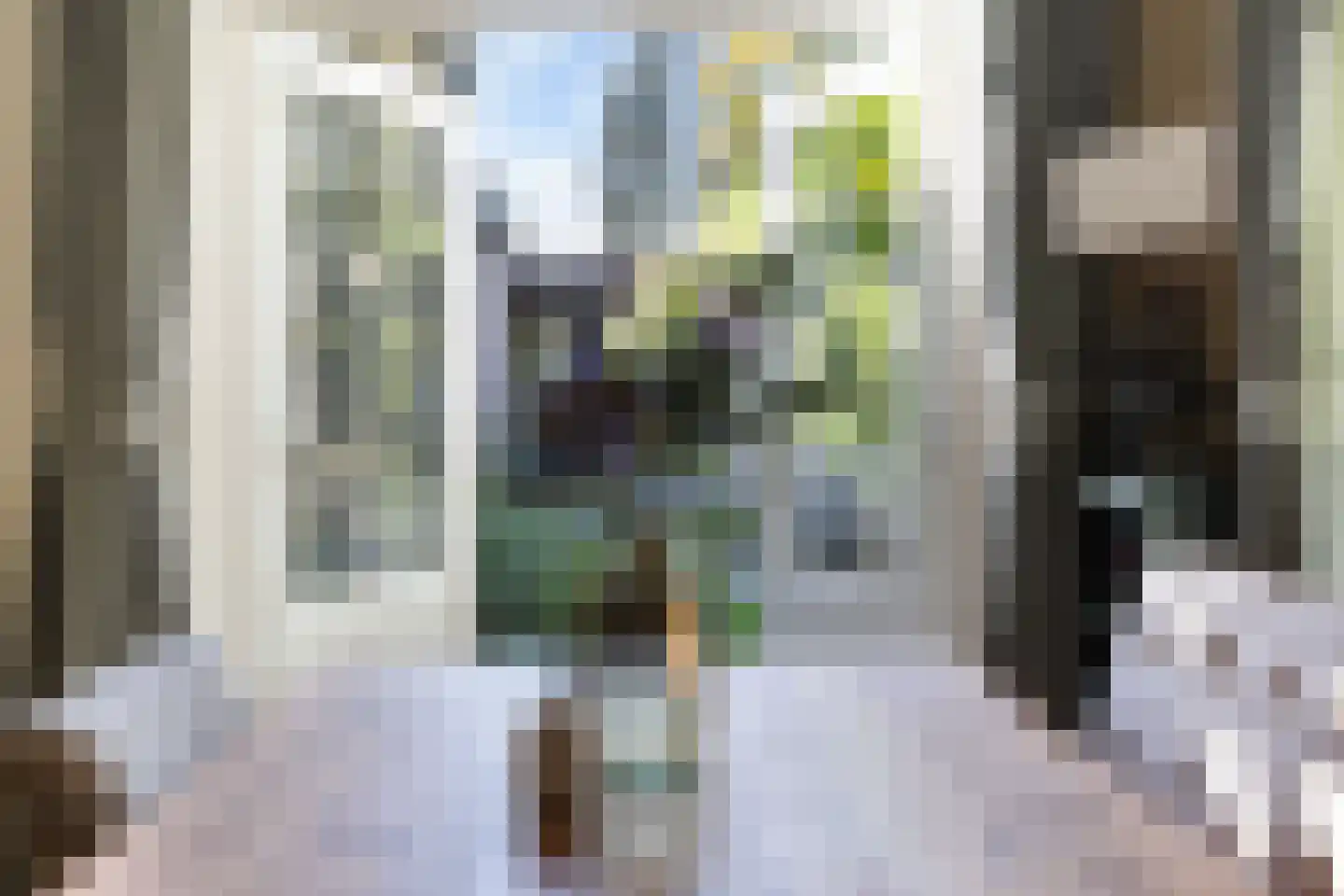 van Oosthuyselaan 51 Driebergen-Rijsenburg thumbnail 21