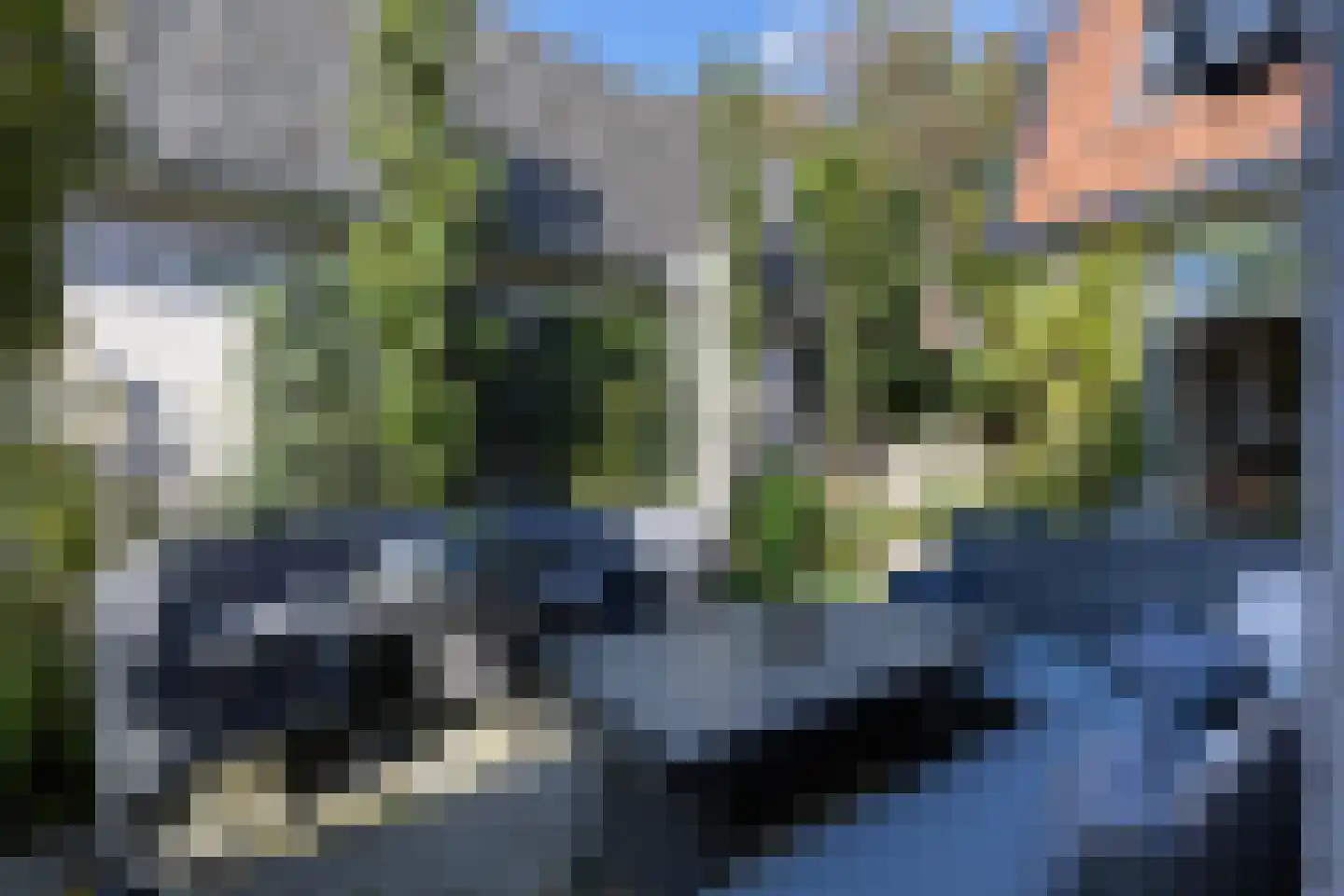 van Oosthuyselaan 51 Driebergen-Rijsenburg thumbnail 25