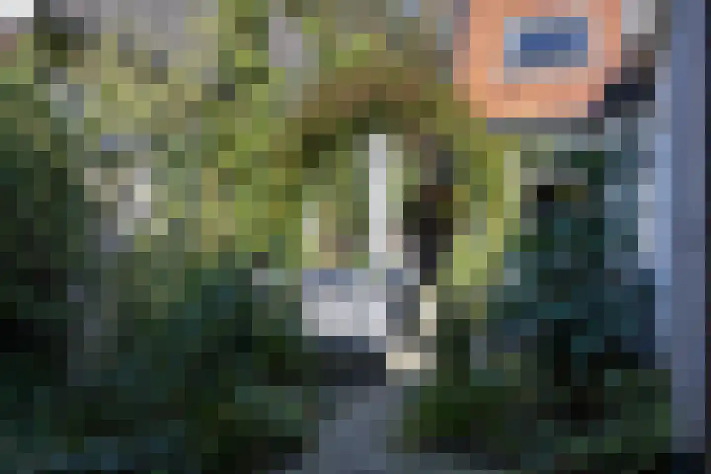 van Oosthuyselaan 51 Driebergen-Rijsenburg thumbnail 27