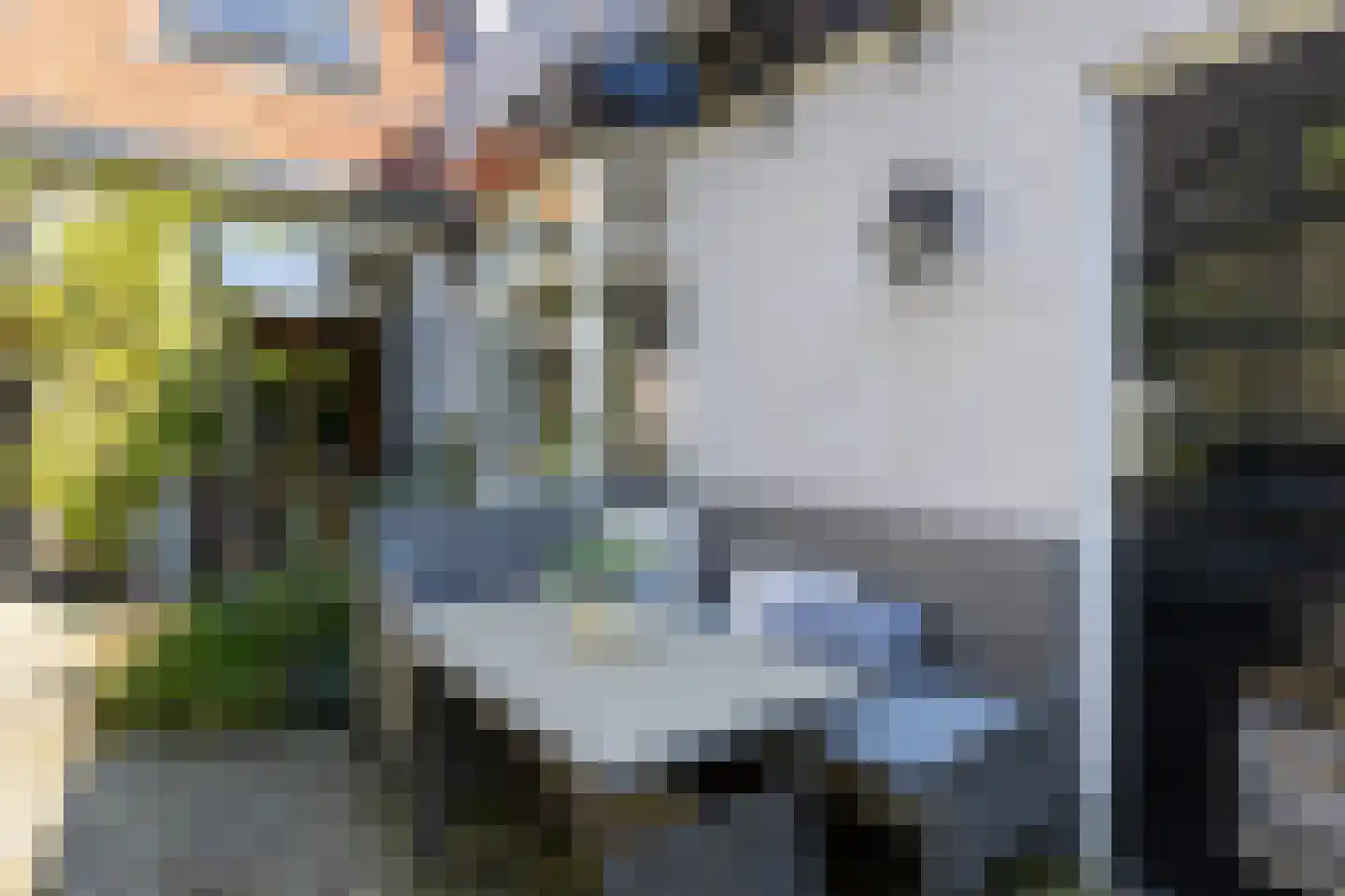 van Oosthuyselaan 51 Driebergen-Rijsenburg thumbnail 28