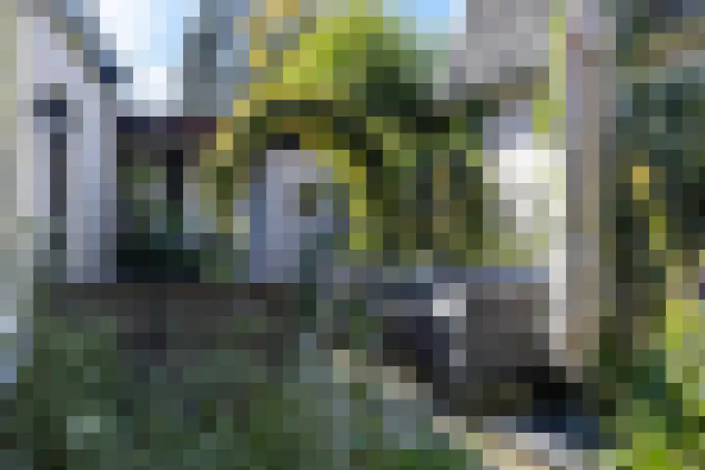 van Oosthuyselaan 51 Driebergen-Rijsenburg thumbnail 4
