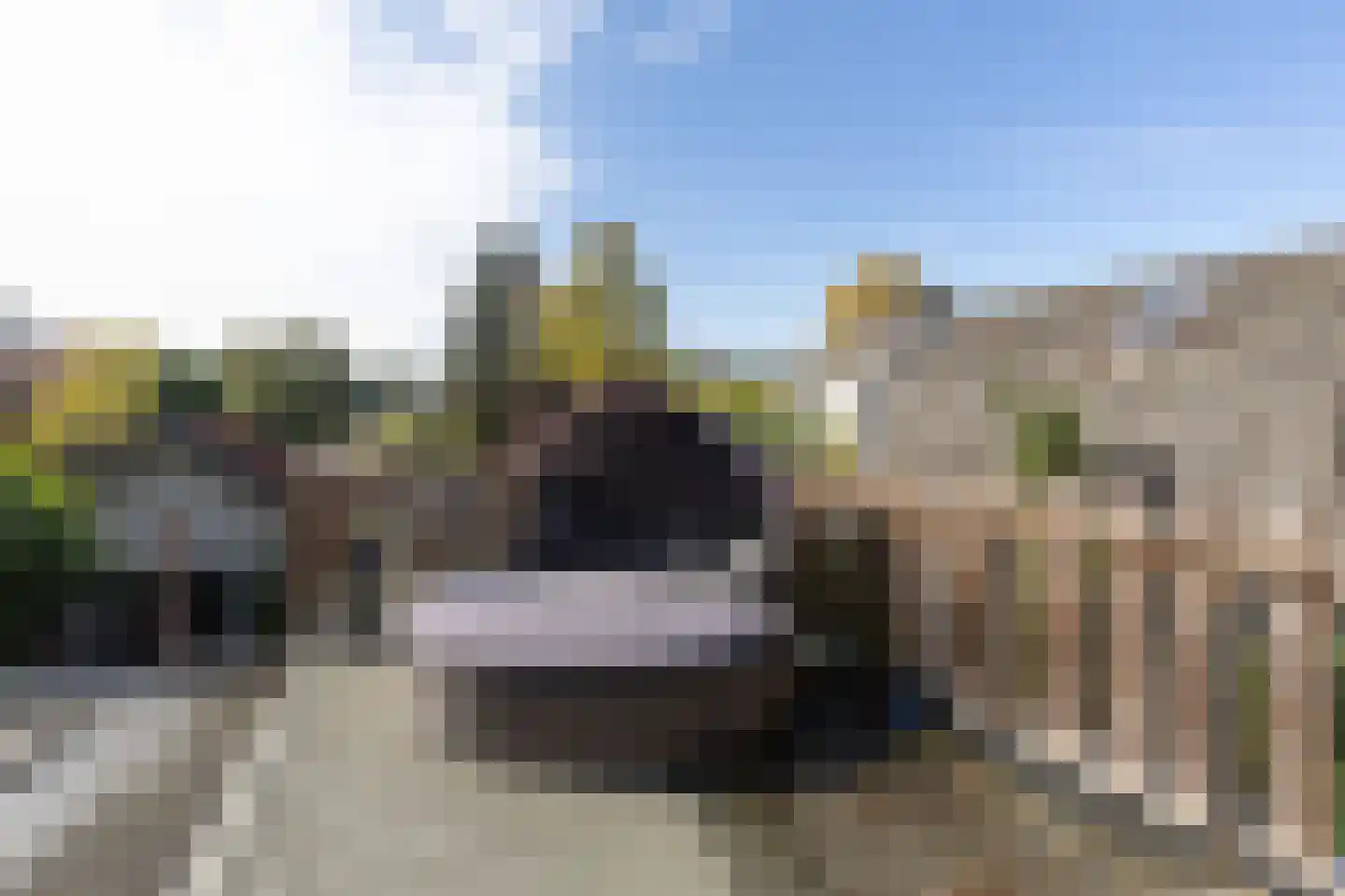 van Oosthuyselaan 51 Driebergen-Rijsenburg thumbnail 43