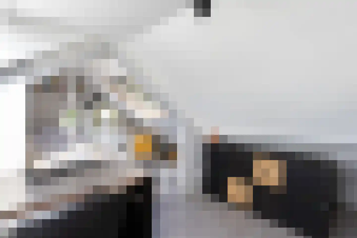 van Oosthuyselaan 51 Driebergen-Rijsenburg thumbnail 44