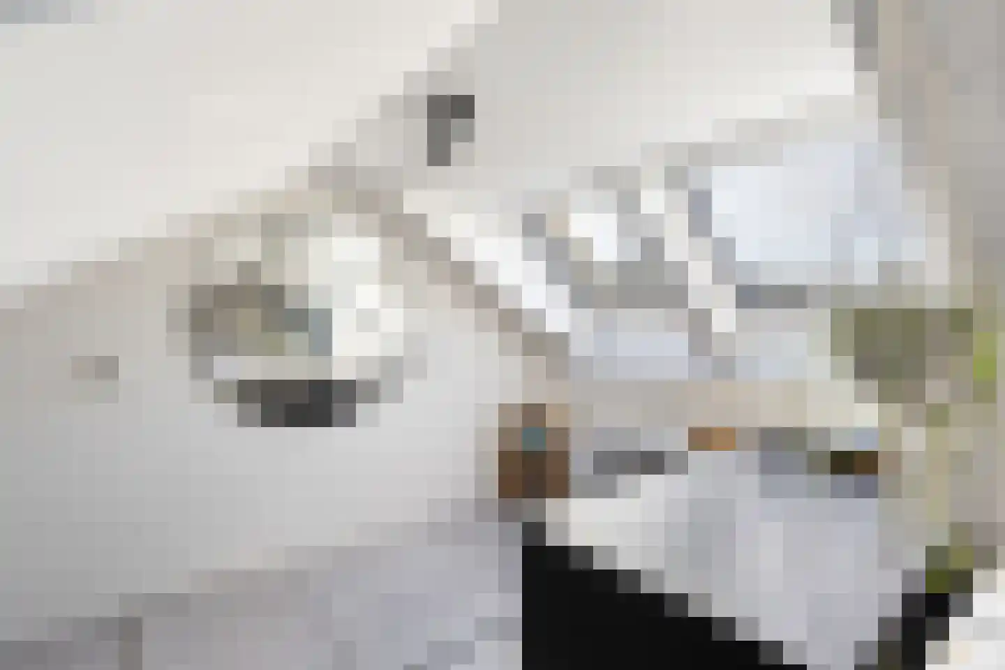 van Oosthuyselaan 51 Driebergen-Rijsenburg thumbnail 47