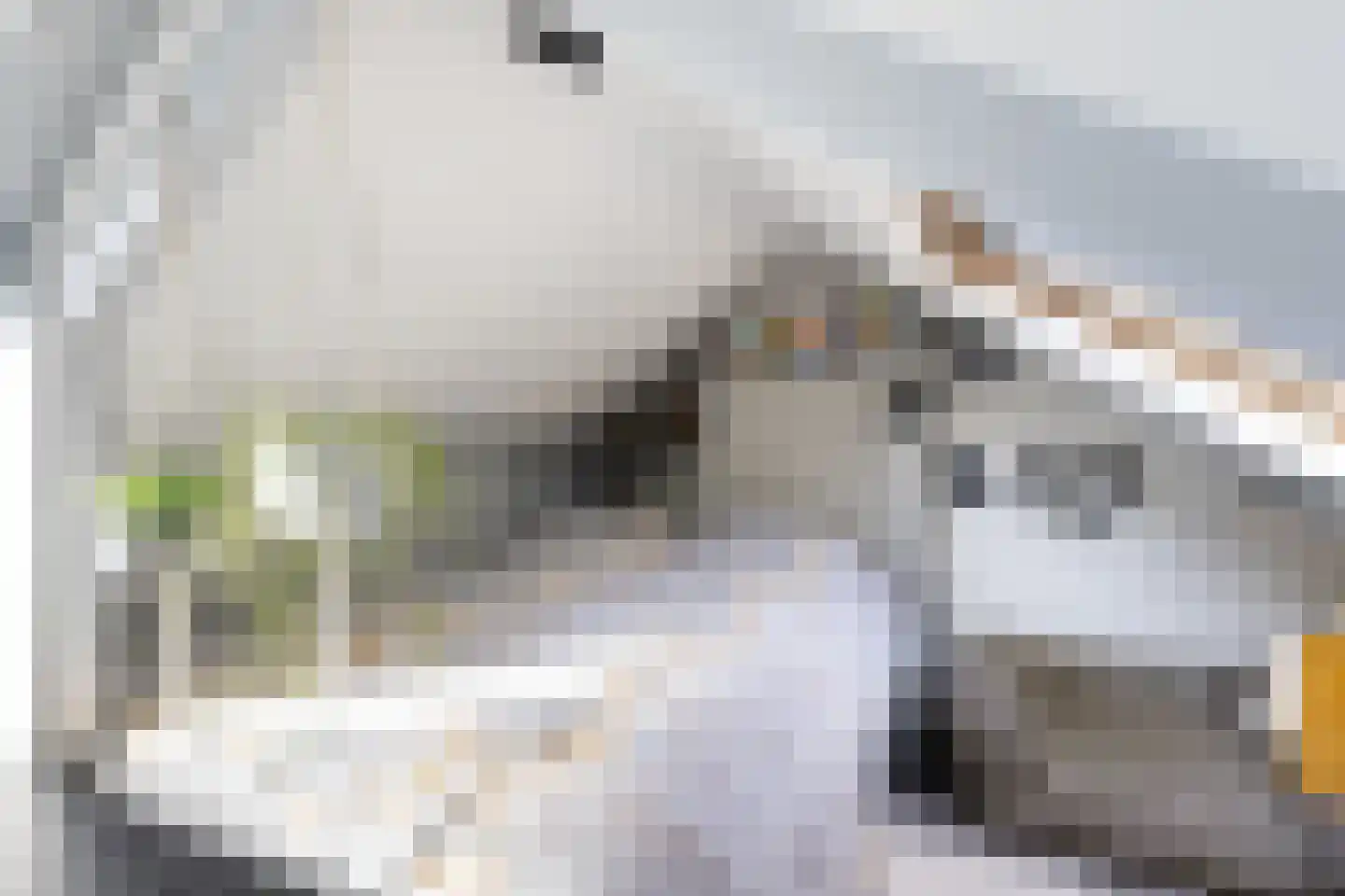 van Oosthuyselaan 51 Driebergen-Rijsenburg thumbnail 48