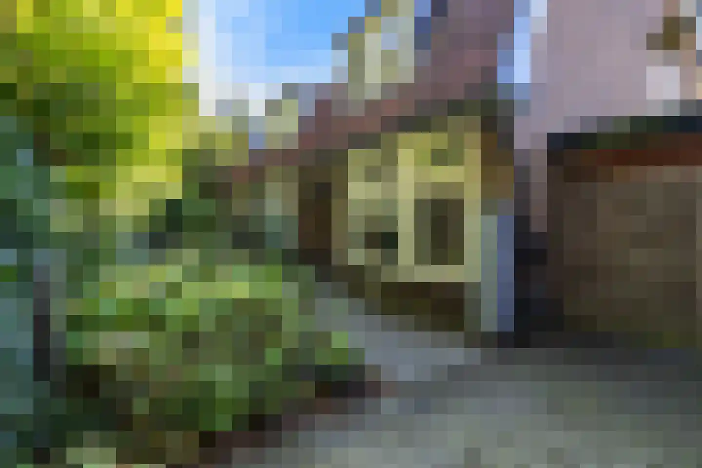 van Oosthuyselaan 51 Driebergen-Rijsenburg thumbnail 5