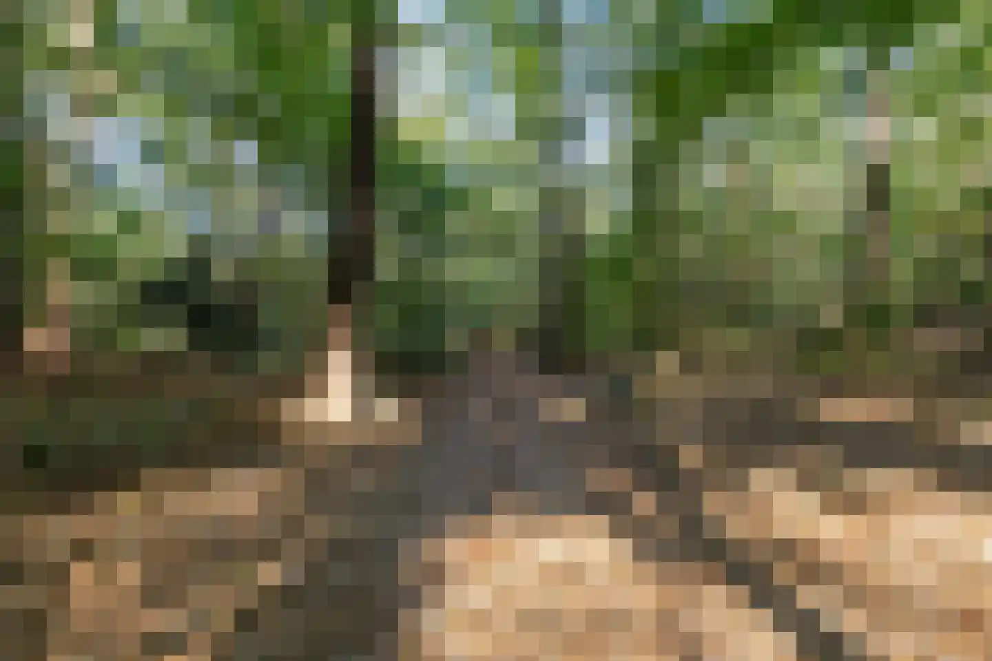 van Oosthuyselaan 51 Driebergen-Rijsenburg thumbnail 50
