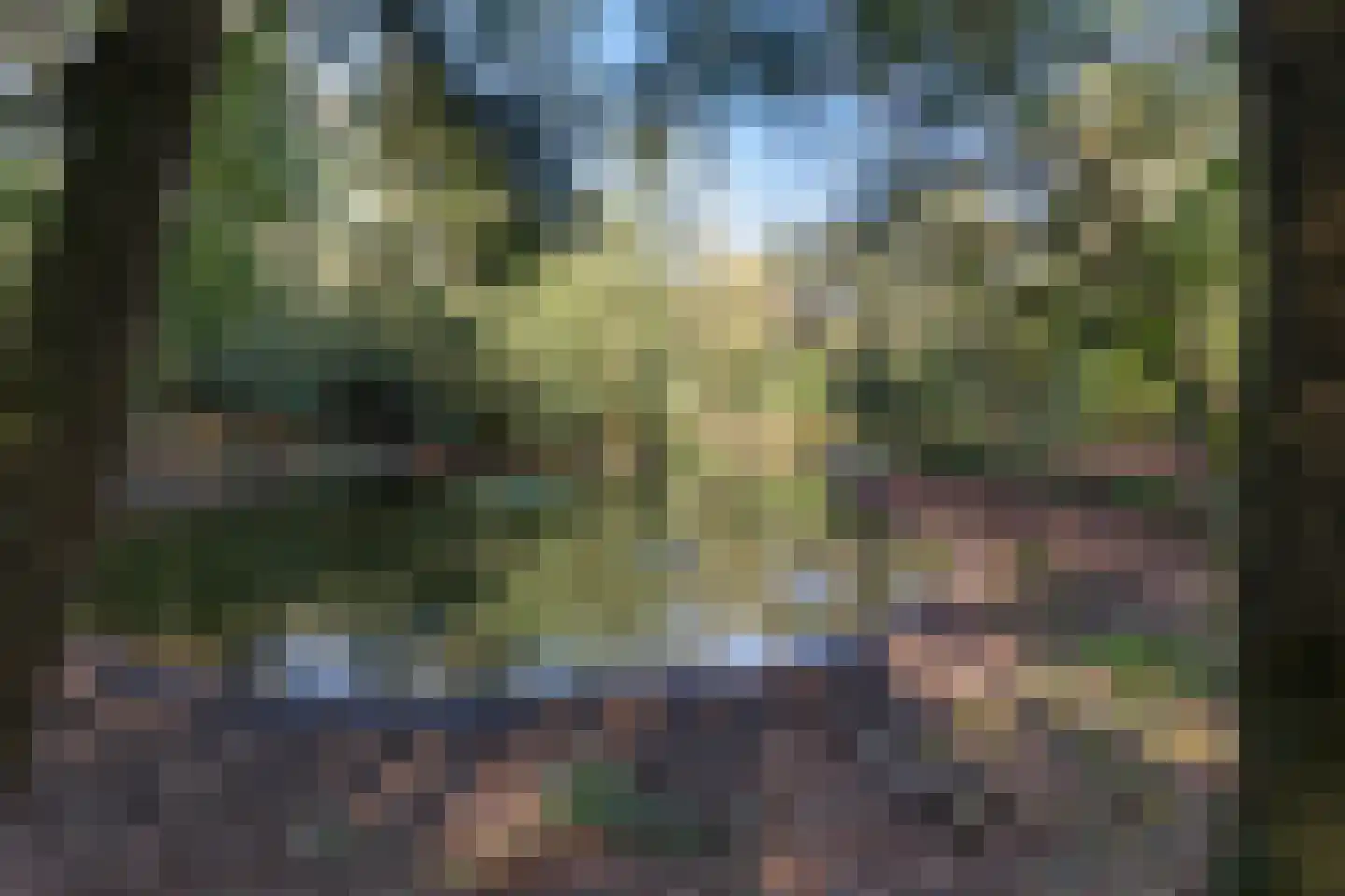 van Oosthuyselaan 51 Driebergen-Rijsenburg thumbnail 51