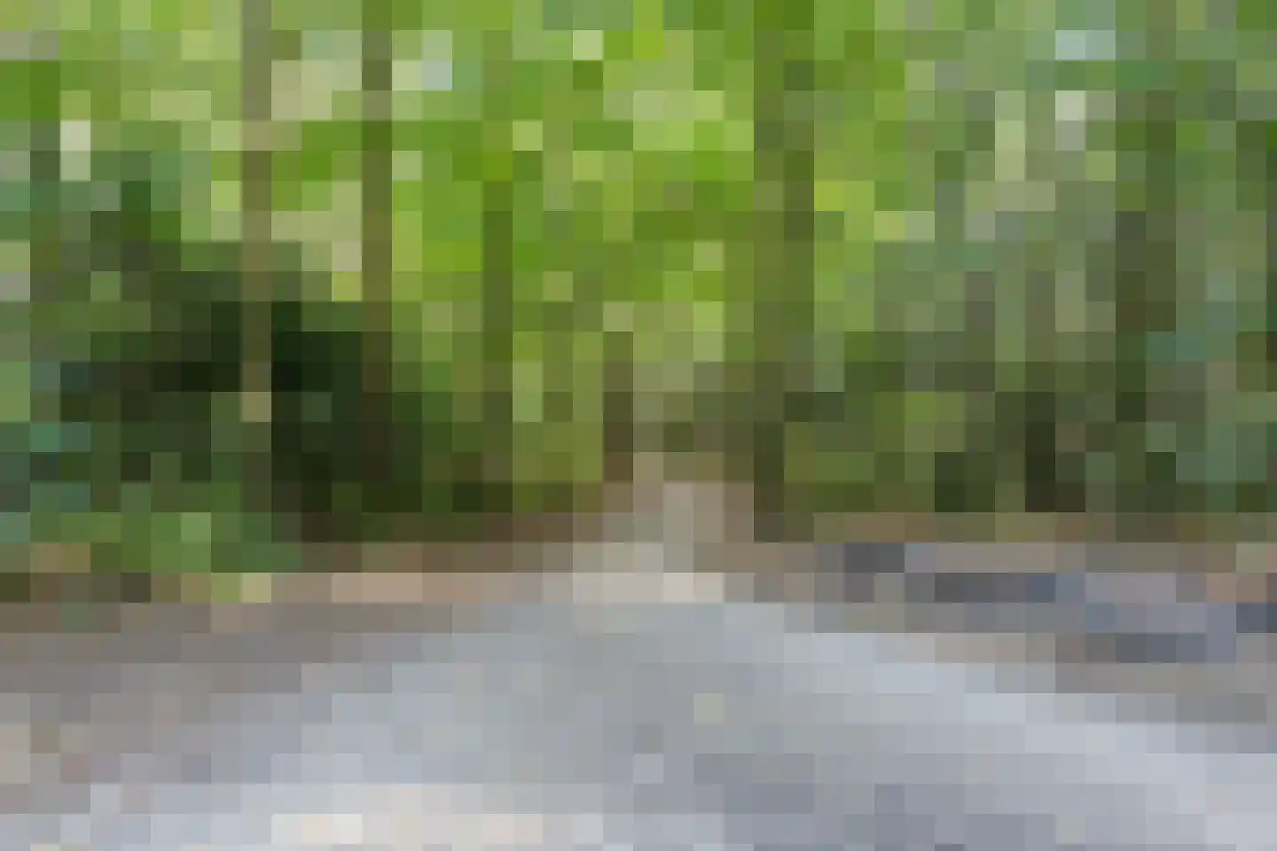 van Oosthuyselaan 51 Driebergen-Rijsenburg thumbnail 53