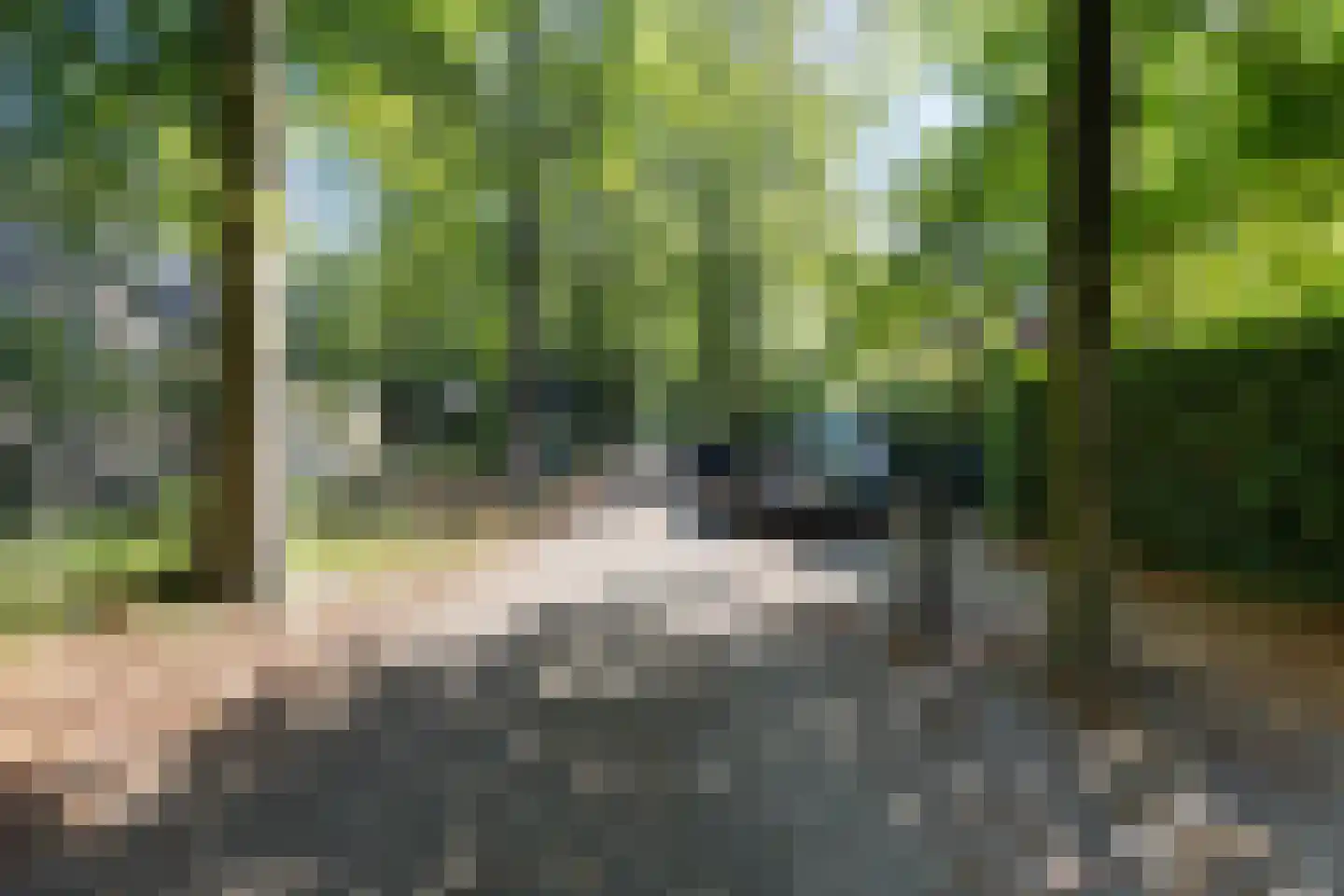van Oosthuyselaan 51 Driebergen-Rijsenburg thumbnail 7
