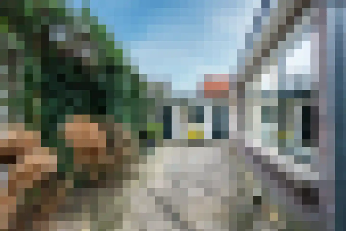 van Oosthuyselaan 53 Driebergen-Rijsenburg thumbnail 31