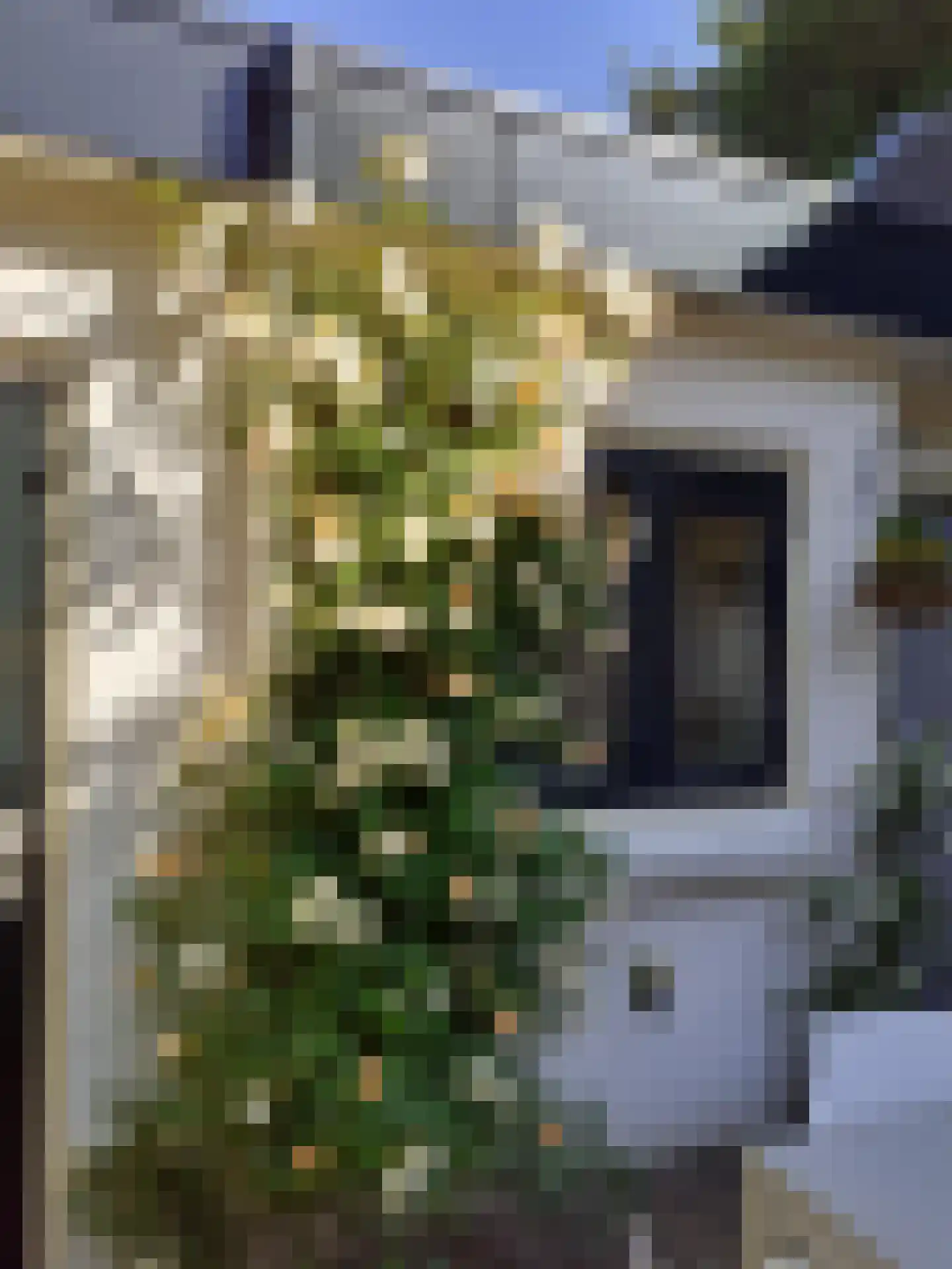 van Oosthuyselaan 53 Driebergen-Rijsenburg thumbnail 33
