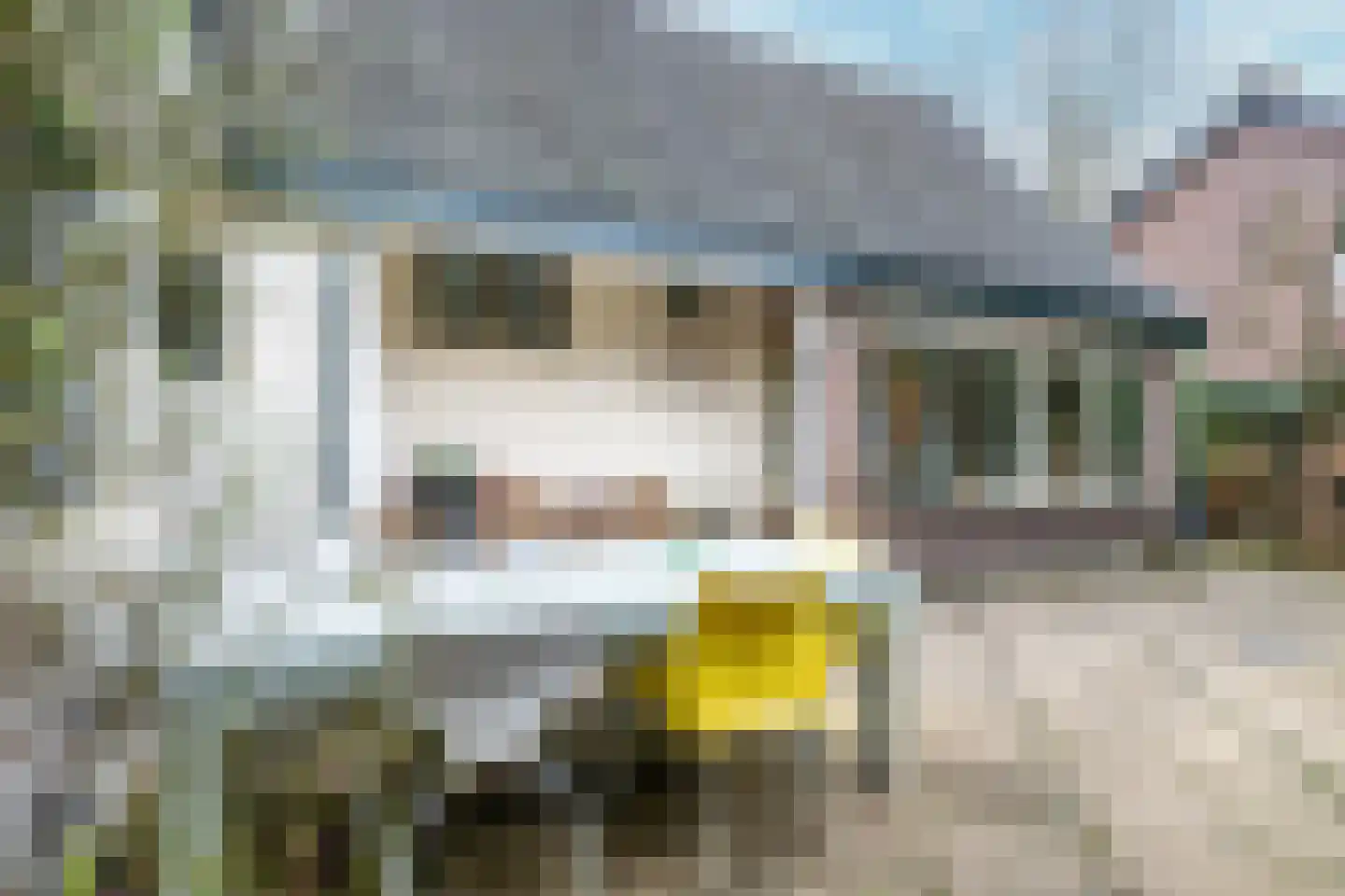van Oosthuyselaan 53 Driebergen-Rijsenburg thumbnail 34