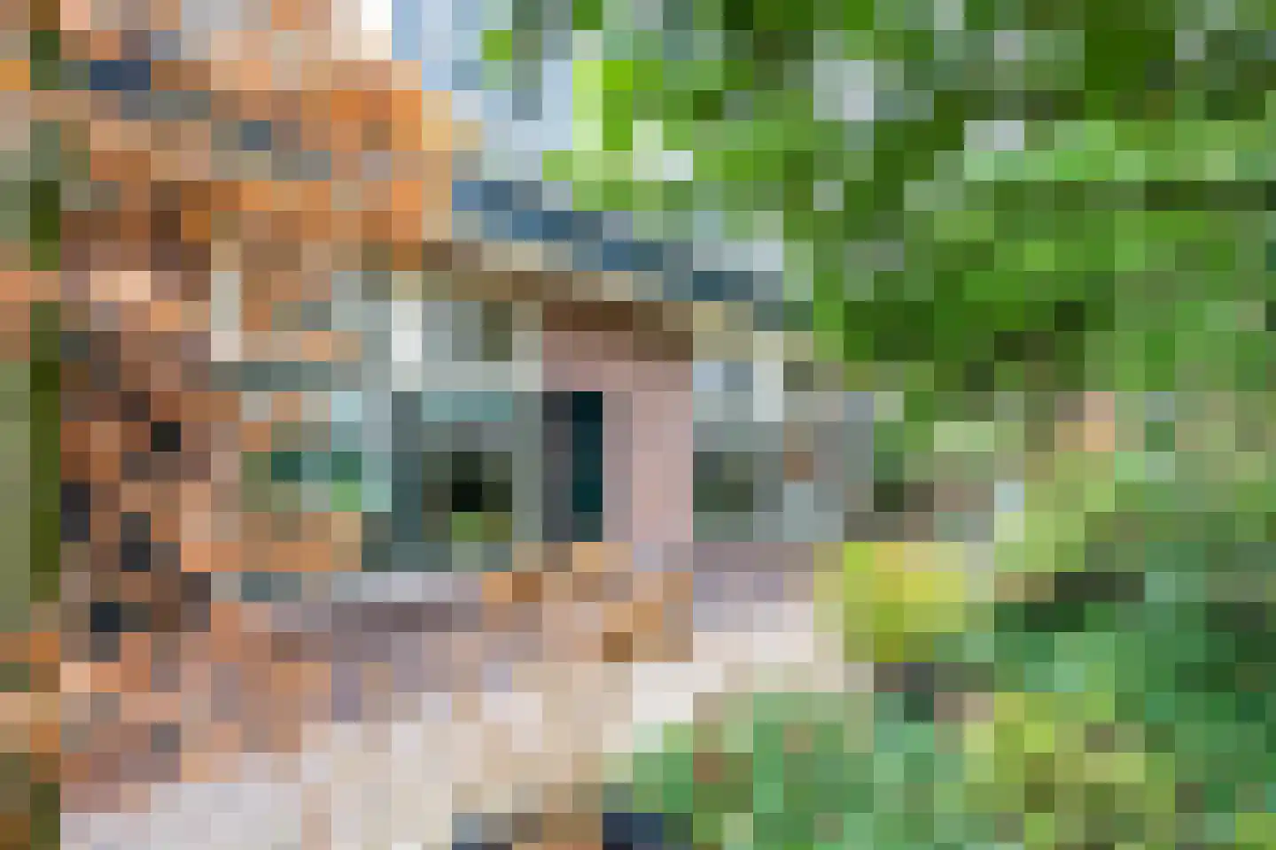 van Oosthuyselaan 53 Driebergen-Rijsenburg thumbnail 35
