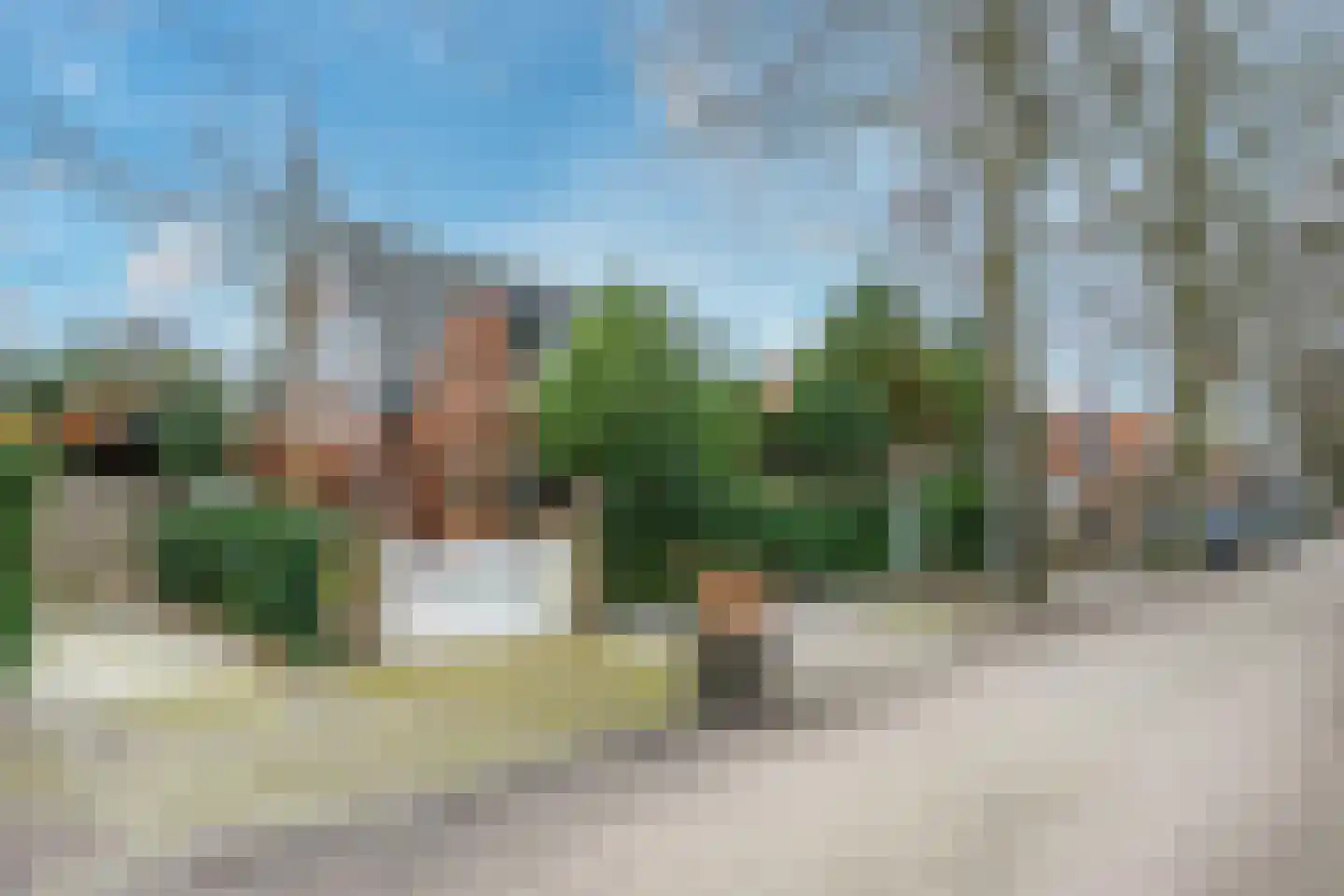 van Oosthuyselaan 53 Driebergen-Rijsenburg thumbnail 38