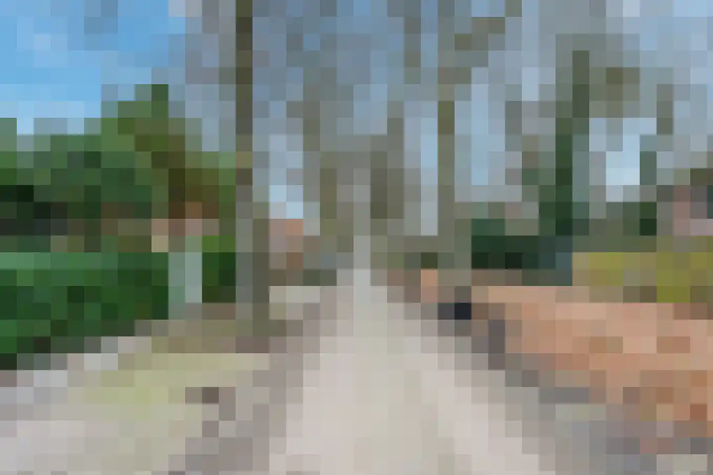 van Oosthuyselaan 53 Driebergen-Rijsenburg thumbnail 39