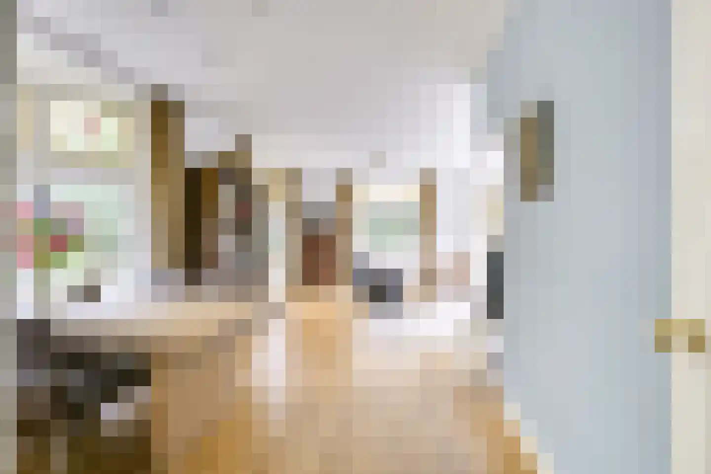 van Oosthuyselaan 53 Driebergen-Rijsenburg thumbnail 4