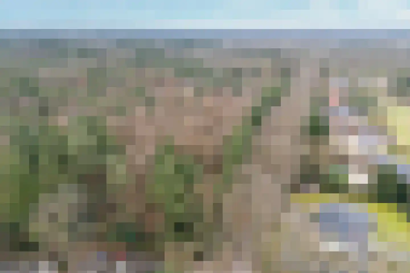 van Oosthuyselaan 53 Driebergen-Rijsenburg thumbnail 41