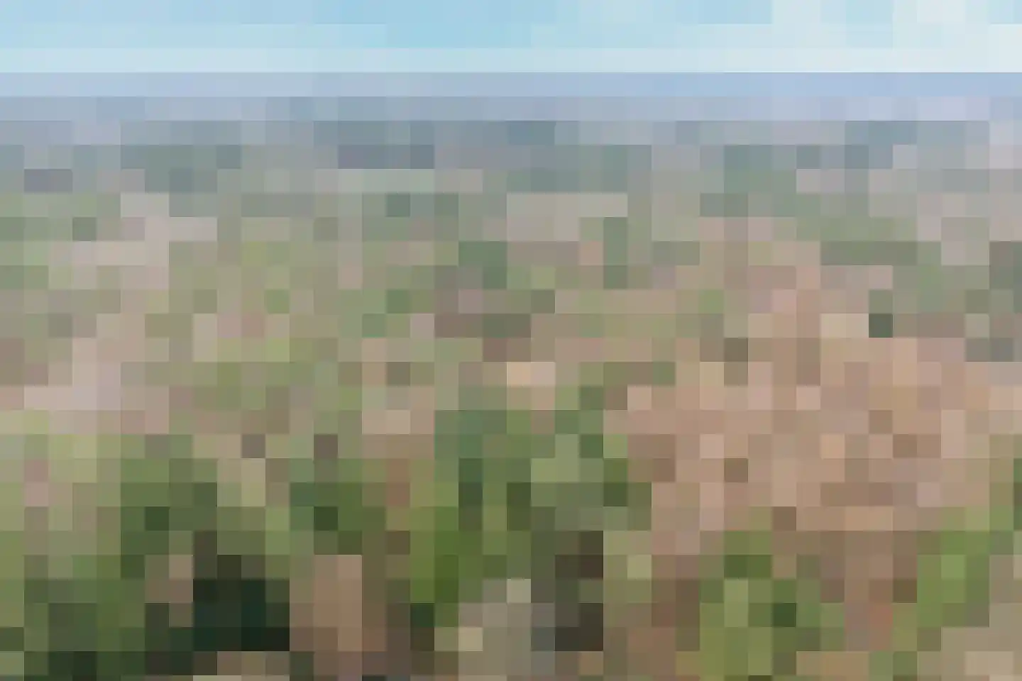van Oosthuyselaan 53 Driebergen-Rijsenburg thumbnail 42