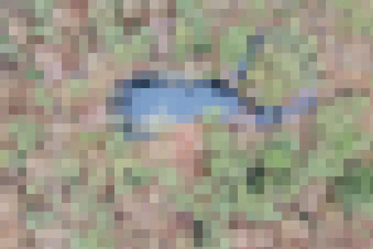van Oosthuyselaan 53 Driebergen-Rijsenburg thumbnail 43