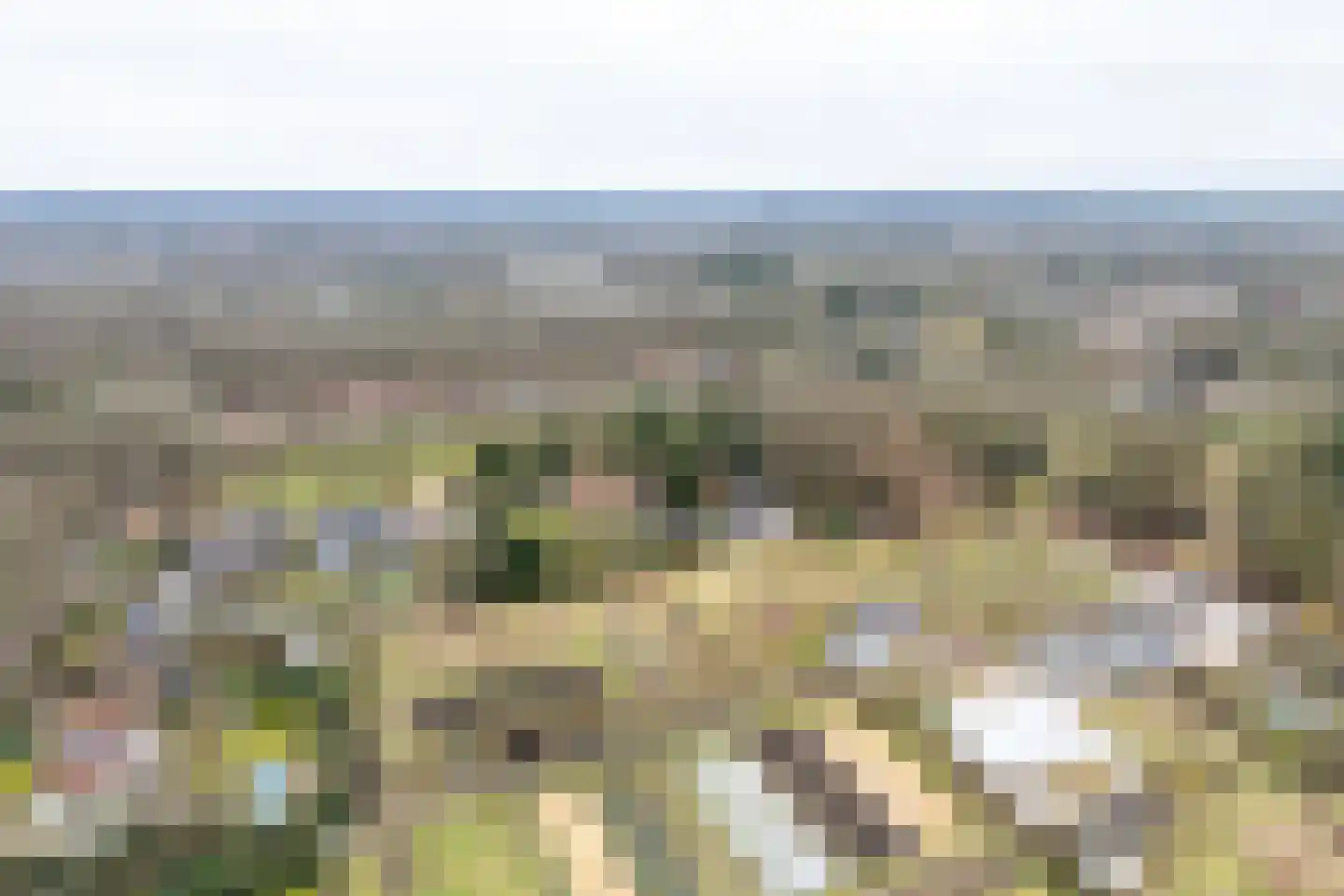 van Oosthuyselaan 53 Driebergen-Rijsenburg thumbnail 44