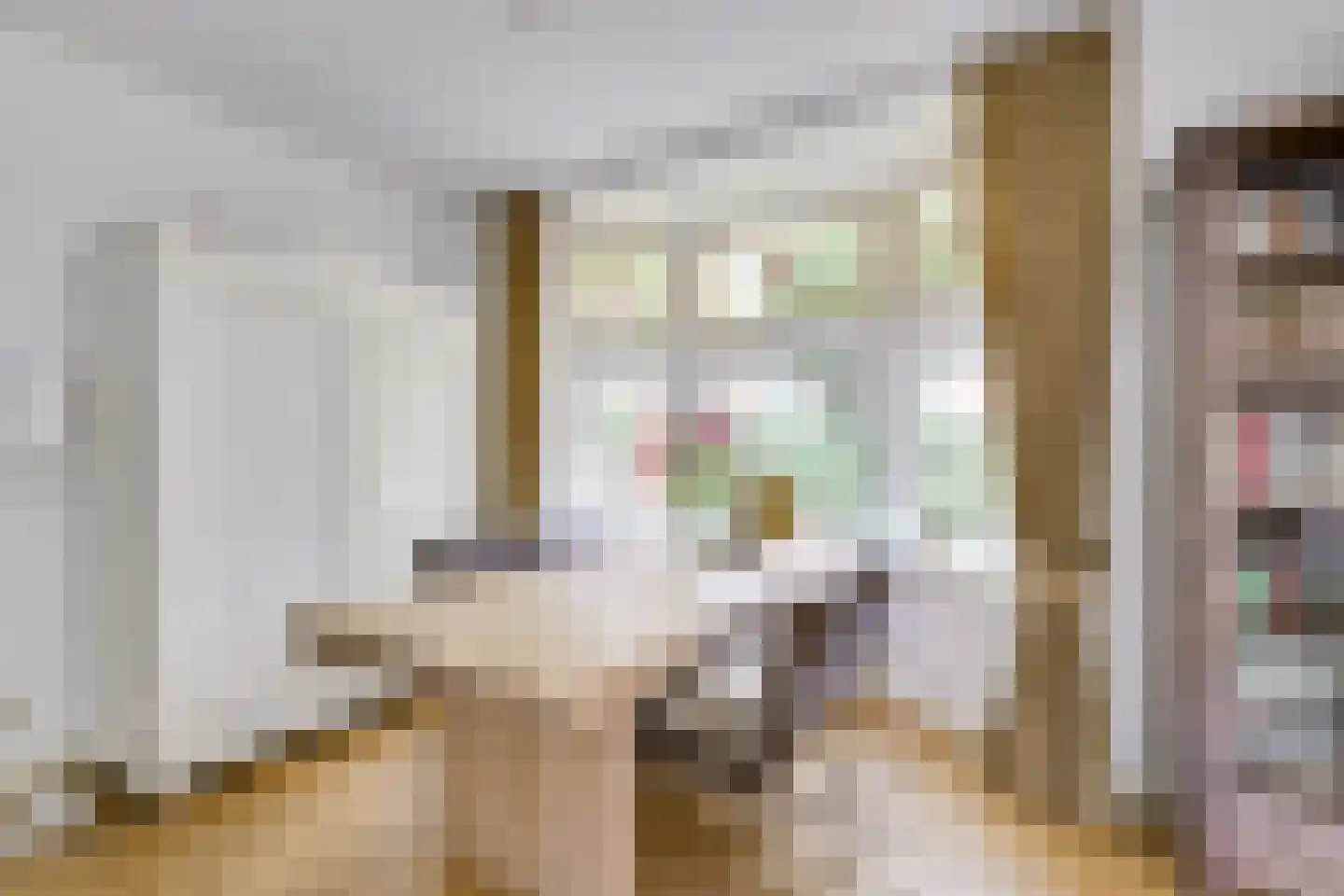van Oosthuyselaan 53 Driebergen-Rijsenburg thumbnail 5