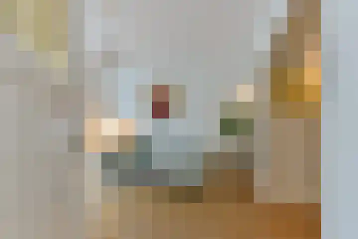 van Oosthuyselaan 65 Driebergen-Rijsenburg thumbnail 12