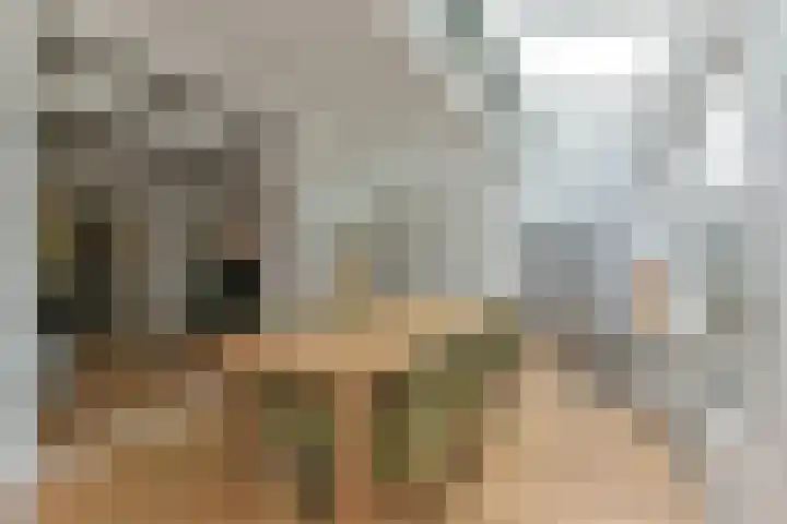 van Oosthuyselaan 65 Driebergen-Rijsenburg thumbnail 20