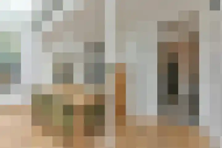 van Oosthuyselaan 65 Driebergen-Rijsenburg thumbnail 21