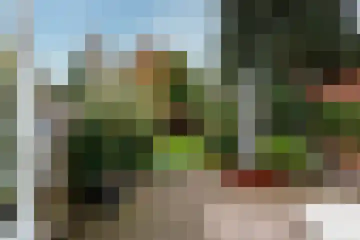 van Oosthuyselaan 65 Driebergen-Rijsenburg thumbnail 27