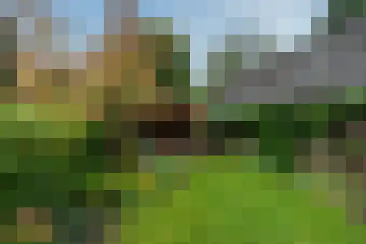 van Oosthuyselaan 65 Driebergen-Rijsenburg thumbnail 29